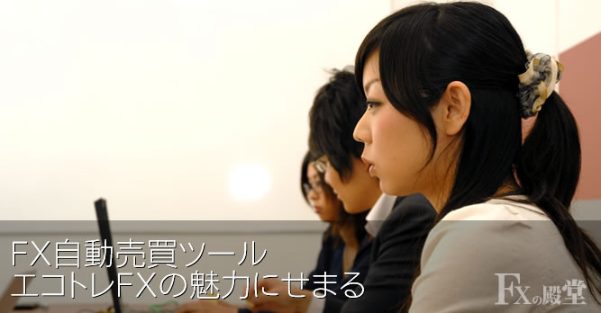 ひまわり証券 インタビュー
